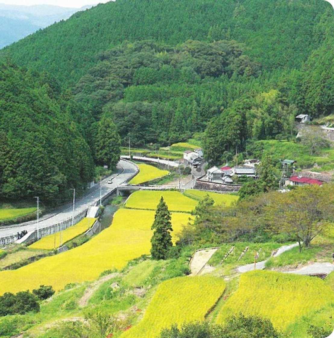 高知県香美市のさとやま